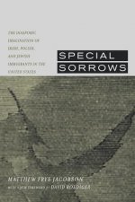 Special Sorrows