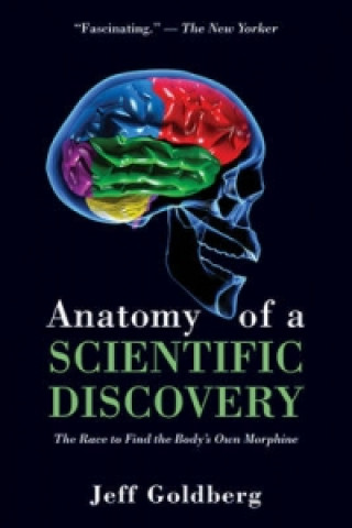 Anatomy of a Scientific Discovery