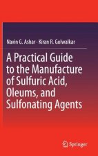 Practical Guide to the Manufacture of Sulfuric Acid, Oleums, and Sulfonating Agents