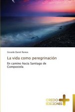 Vida Como Peregrinacion