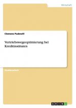 Vertriebswegeoptimierung bei Kreditinstituten