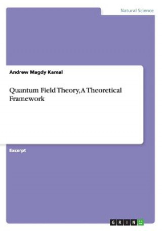 Quantum Field Theory, A Theoretical Framework