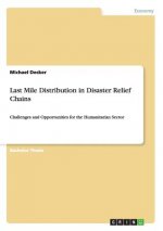 Last Mile Distribution in Disaster Relief Chains