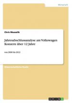 Jahresabschlussanalyse am Volkswagen Konzern über 12 Jahre