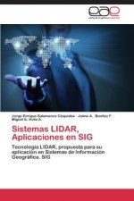 Sistemas LIDAR, Aplicaciones en SIG