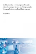 Multikriterielle Bewertung von Produkt-Dienstleistungssystemen zur Steigerung der Energieeffizienz von Druckluftsystemen.