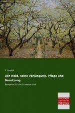 Der Wald, seine Verjüngung, Pflege und Benutzung