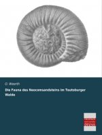Die Fauna des Neocomsandsteins im Teutoburger Walde