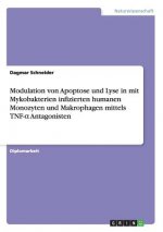 Modulation von Apoptose und Lyse in mit Mykobakterien infizierten humanen Monozyten und Makrophagen mittels TNF-α Antagonisten