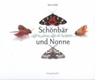 Schönbär und Nonne