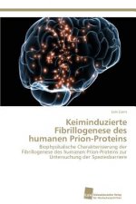 Keiminduzierte Fibrillogenese des humanen Prion-Proteins