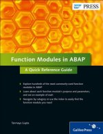 Function Modules in ABAP