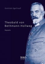 Theobald von Bethmann-Hollweg. Biographie