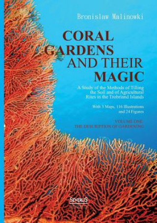 Coral gardens and their magic