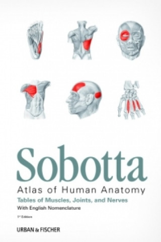 Sobotta Tables of Muscles, Joints and Nerves, English