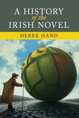 History of the Irish Novel