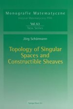 Topology of Singular Spaces and Constructible Sheaves