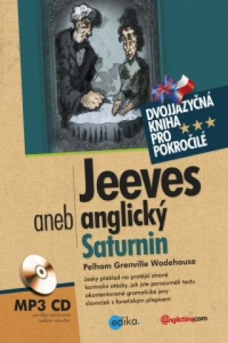 Jeeves aneb anglický Saturnin