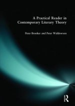 Practical Reader in Contemporary Literary Theory