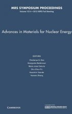 Advances in Materials for Nuclear Energy: Volume 1514