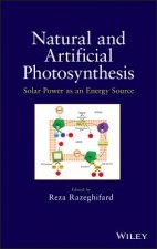 Natural and Artificial Photosynthesis - Solar Power as an Energy Source