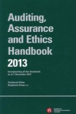 Chartered Accountants Auditing and Assurance Handbook 2013