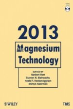 Magnesium Technology 2013