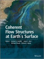 Coherent Flow Structures at Earth`s Surface