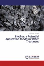 Biochar: a Potential Application to Storm Water Treatment