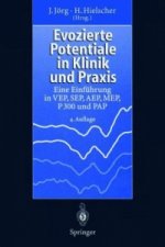 Evozierte Potentiale in Klinik und Praxis