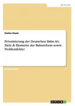 Privatisierung der Deutschen Bahn AG. Ziele & Elemente der Bahnreform sowie Problemfelder
