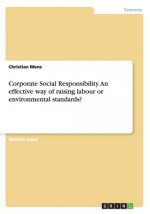 Corporate Social Responsibility. An effective way of raising labour or environmental standards?