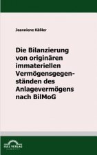 Bilanzierung von originaren immateriellen Vermoegensgegenstanden des Anlagevermoegens nach BilMoG