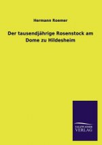 tausendjahrige Rosenstock am Dome zu Hildesheim