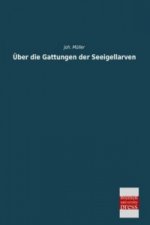 Über die Gattungen der Seeigellarven