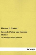 Rasende Fluten und tobende Stürme