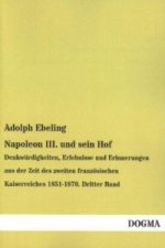 Napoleon III. und sein Hof. Bd.3