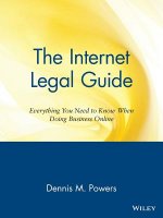 Internet Legal Guide
