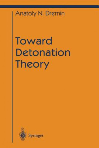 Toward Detonation Theory