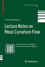 Lecture Notes on Mean Curvature Flow