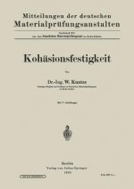 Kohasionsfestigkeit