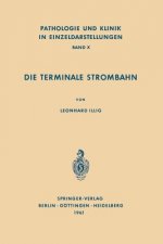 Die Terminale Strombahn