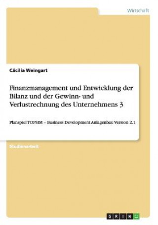 Finanzmanagement und Entwicklung der Bilanz und der Gewinn- und Verlustrechnung des Unternehmens 3