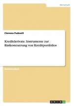 Kreditderivate. Instrumente zur Risikosteuerung von Kreditportfolios