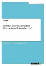 Anschluss einer CEE-Steckdose (Unterweisung Elektroniker / -in)