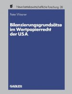 Bilanzierungsgrunds tze Im Wertpapierrecht Der U.S.A.