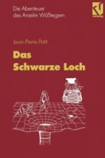 Die Abenteuer des Anselm Wüßtegern