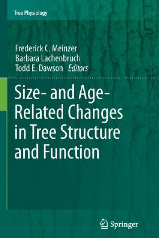 Size- and Age-Related Changes in Tree Structure and Function