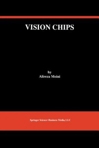 Vision Chips