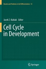 Cell Cycle in Development